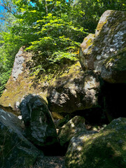 Old stone covered with moss background texture.