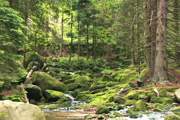 Strumień górski