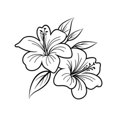 Elegant black and white floral illustration depicting two beautiful lily flowers and leaves