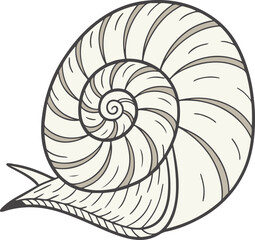 Obraz premium Muted tone spiral snail shell top view with soft shapes in clean white educational design