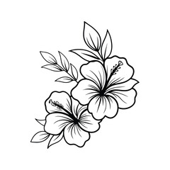 Elegant black and white illustration of two hibiscus flowers with leaves on white background