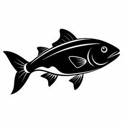 fish on a white background