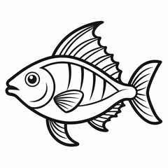 vector illustration of a fish