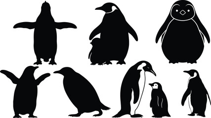 Obraz premium Detailed Penguin Silhouettes - Isolated Flightless Birds for Design Projects,Penguin Silhouette Vector Bundle 