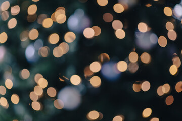 fairy light abstract