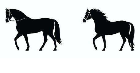 Horses, silhouettes, equestrian, equine, galloping, Three black silhouettes of horses running on a white background. Perfect for themes related to horse racing, equestrian, and equine. animals, mammal