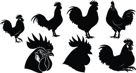 Naklejka premium Various Rooster Poses Silhouette Pack,Diverse Rooster Silhouettes - Crowing, Standing, and Headshot Vector Design,Rooster Silhouette Vector Bundle 
