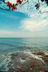 Waves crashing against rocks on the beach, with red leaves in the top frame and the blue sea in the background.