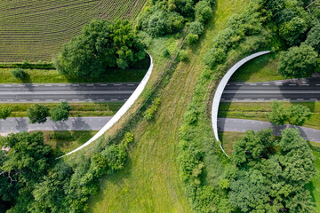 Road traversed by wildlife crossing forming a safe natural corridor bridge for animals to migrate...