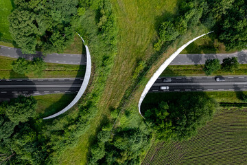 Road traversed by wildlife crossing forming a safe natural corridor bridge for animals to migrate...