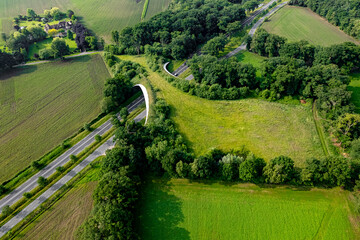 Road traversed by wildlife crossing forming a safe natural corridor bridge for animals to migrate...