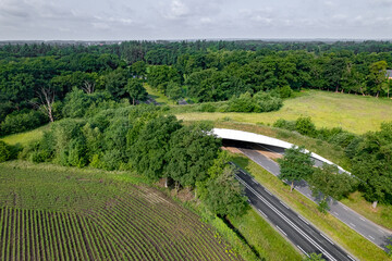 Road traversed by wildlife crossing forming a safe natural corridor bridge for animals to migrate...