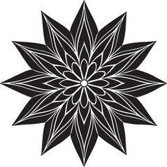 Fototapeta premium black and white abstract flower