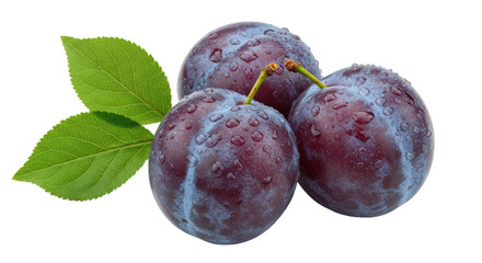 Isolated Plums With Leafs