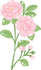 Pink Camellia Illustration