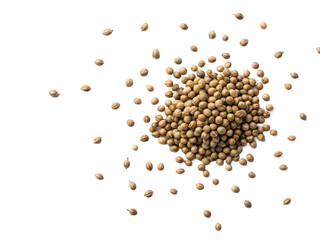 bee balm seeds png bee balm png flower seeds png garden seeds png medicinal plant png herbal seeds png plant seeds png transparent background image