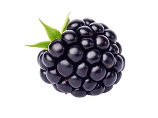 Blackberry fruit png fresh blackberry png ripe blackberry png juicy blackberry png wild berry png summer fruit png antioxidant rich fruit png transparent background image