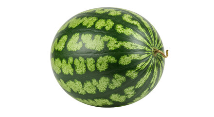 Isolated Green Watermelon