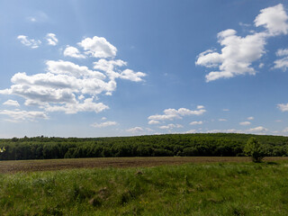 A field of grass and trees under a blue sky with clouds