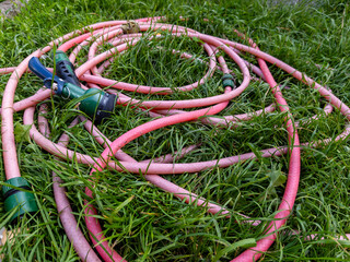 A bunch of pink hoses laying in the grass