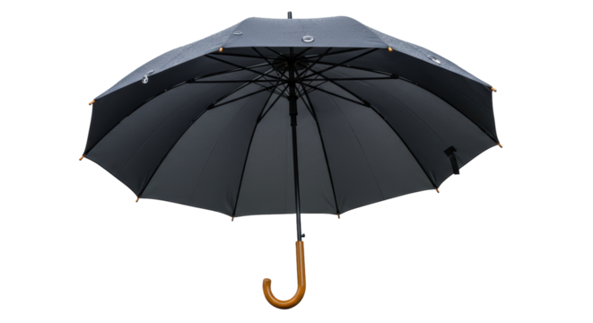 Isolated Open Black Umbrella