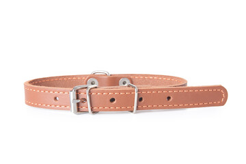 Pet collar on white background