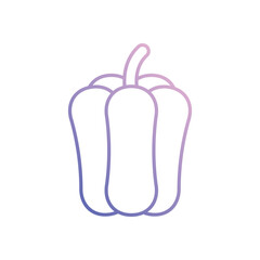 Paprika Vector icon