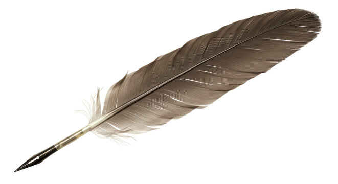 Isolated Feather Quill Pen