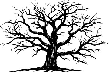 Fototapeta premium Silhouette of a leafless ancient oak tree