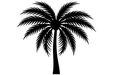 Obraz premium Black silhouette of a tropical palm tree