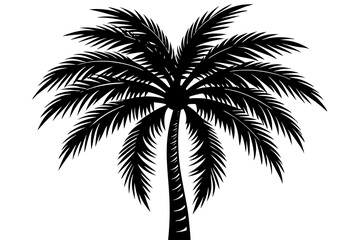 Obraz premium Black and white silhouette of a palm tree