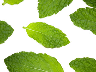 Green mint leaves scattered on white background, top view background