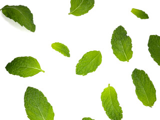 Mint leaves arranged on white background, top view