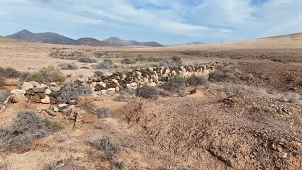 Desert landscape with dry vegetation, mountains in the background, and a wide sky