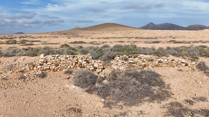Desert landscape with dry vegetation, mountains in the background, and a wide sky