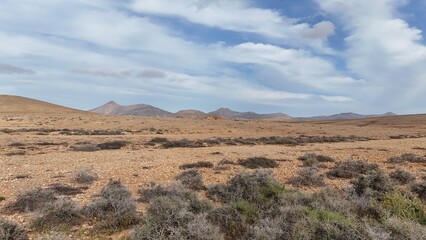 Desert landscape with dry vegetation, mountains in the background, and a wide sky