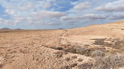 Desert landscape with dry vegetation, mountains in the background, and a wide sky