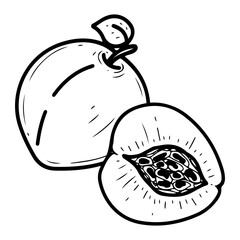 Peach. Hand drawn doodle vector. Fruit whole and half. Summer sweet nectarine. Seasonal vitamins. Fresh organic food. Berry with a stone inside the pulp. Illustration line art element.
