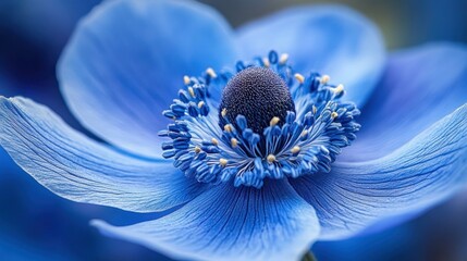 Vibrant blue flower close-up (1)