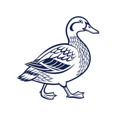 Duck icon vector. Adobe Illustrator Artwork