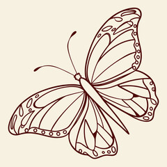 Simple Butterfly Drawing in Line Art Style

