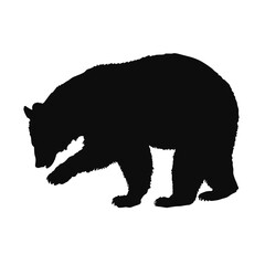 Vector silhouette of a realistic Bear - black animal illustration, isolated on white background	