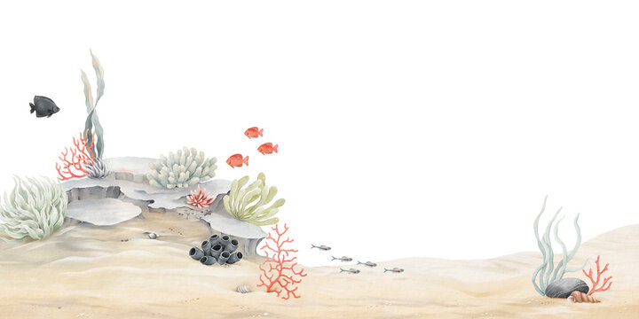 Seabed with coral reef, plants, sponge, red corals and small fishes. Watercolor panoramic illustration with underwater landscape for your design wallpapers, invitation cards or nature background.