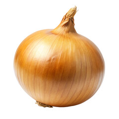 Onion stock image on white background 