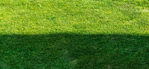 Green grass background divided by shadow. Mown lawn, shadow falls on the grass, visually dividing it in half.