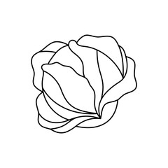 Cabbage outline symbol. Fresh organic vegetable. Natural vegetarian food. Healthy eating. Vector illustration