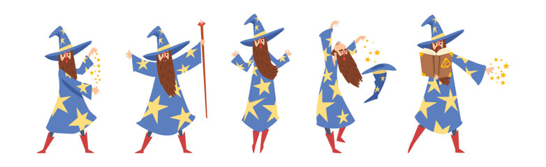 Obraz na płótnie Canvas Bearded Man Wizard in Pointed Hat Vector Set