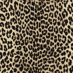 leopard skin texture