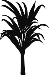 Palm tree black silhouette - Realistic animal outline illustration isolated on transparent background