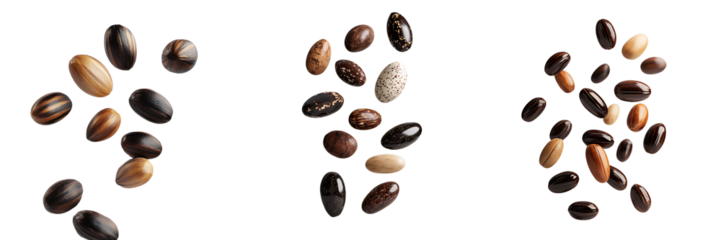 Assorted Dry Beans Scattered on Transparent Background